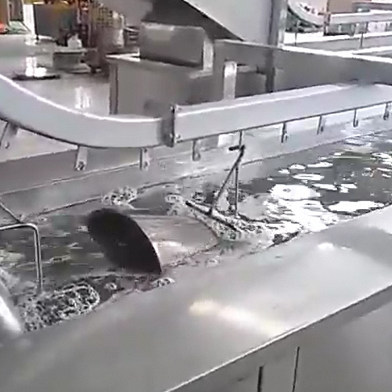 浸入式超声波换能器